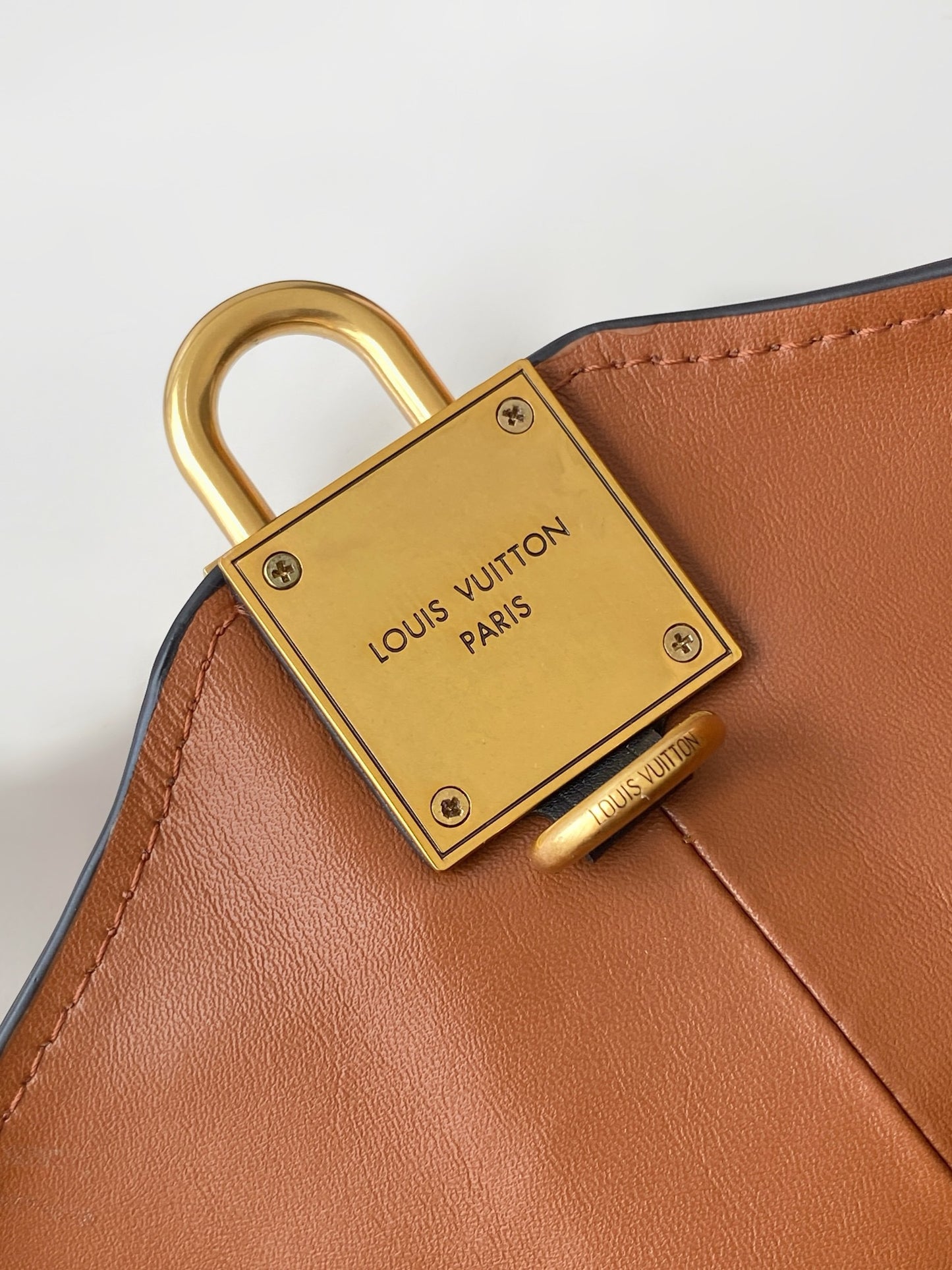 Louis Vuitton low keyhobo