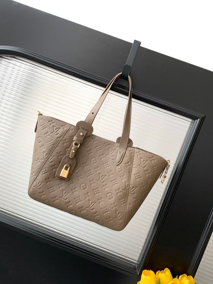 Louis Vuitton all in one pm