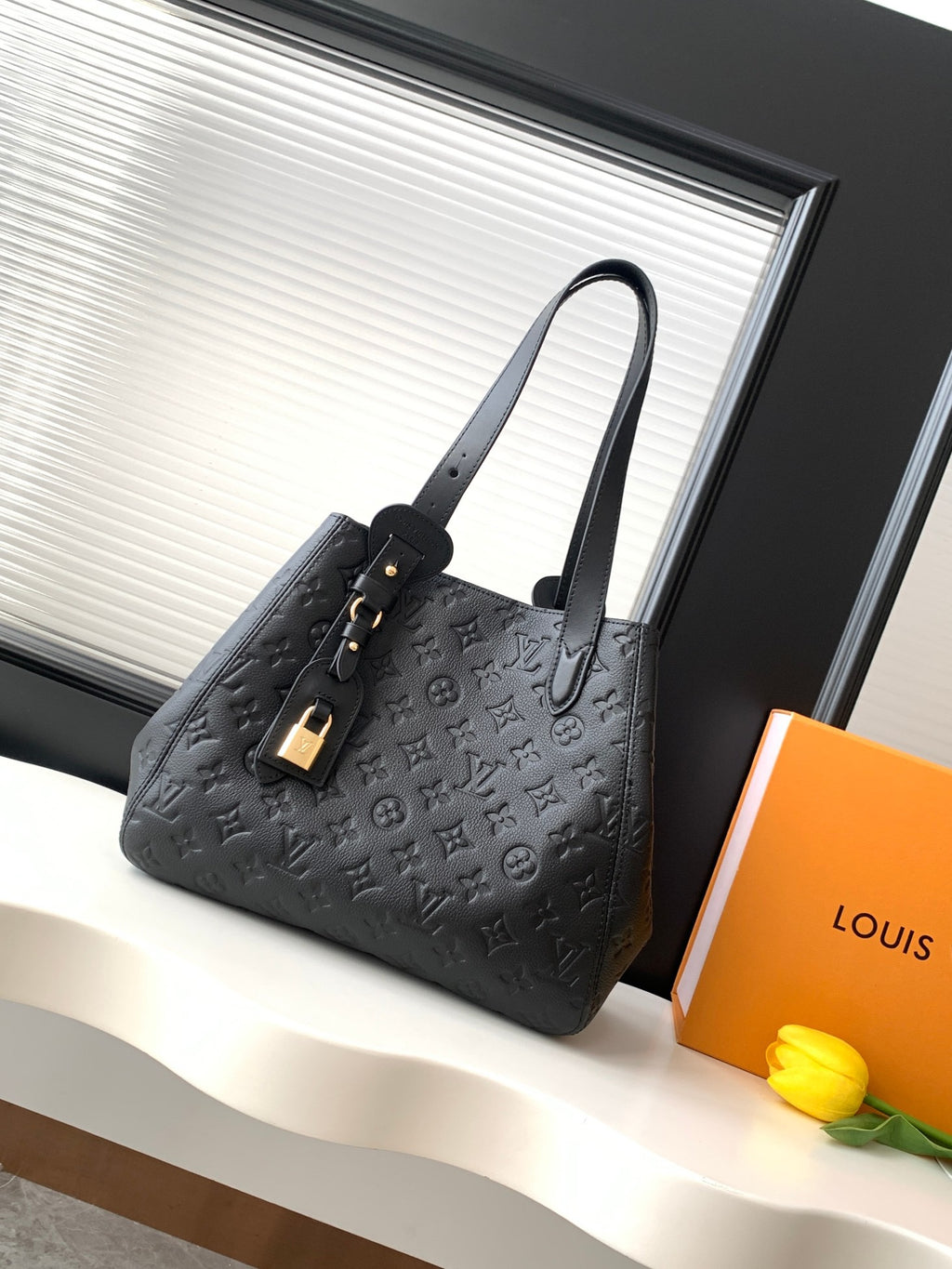 Louis Vuitton all in one pm