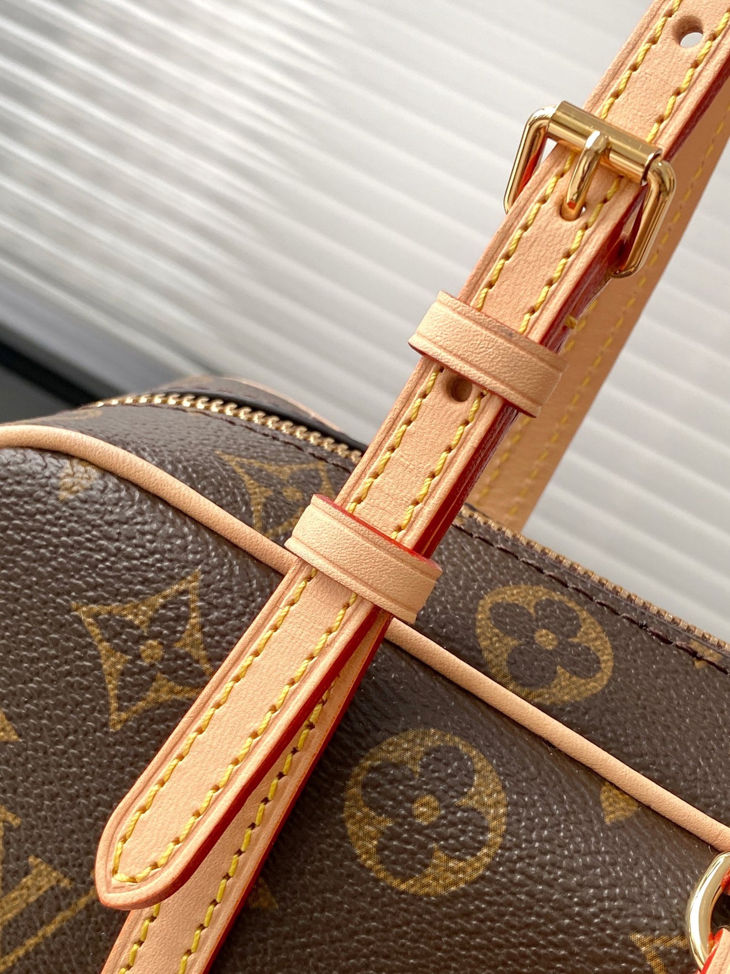 LOUIS VUITTON hang on  Underarm bag